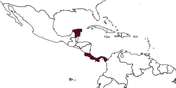 map of Mischocyttarus atrocyaneus     Zikán, 1949
